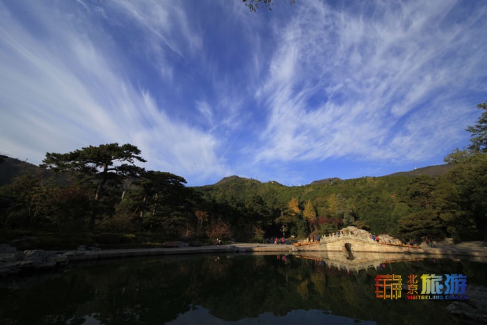 北京旅游网专访香山公园园长齐志坚、研究室主任王柯：“红绿”香山，四季皆景！