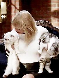 「JALOUSE」有一说一，我确实馋他们的身子