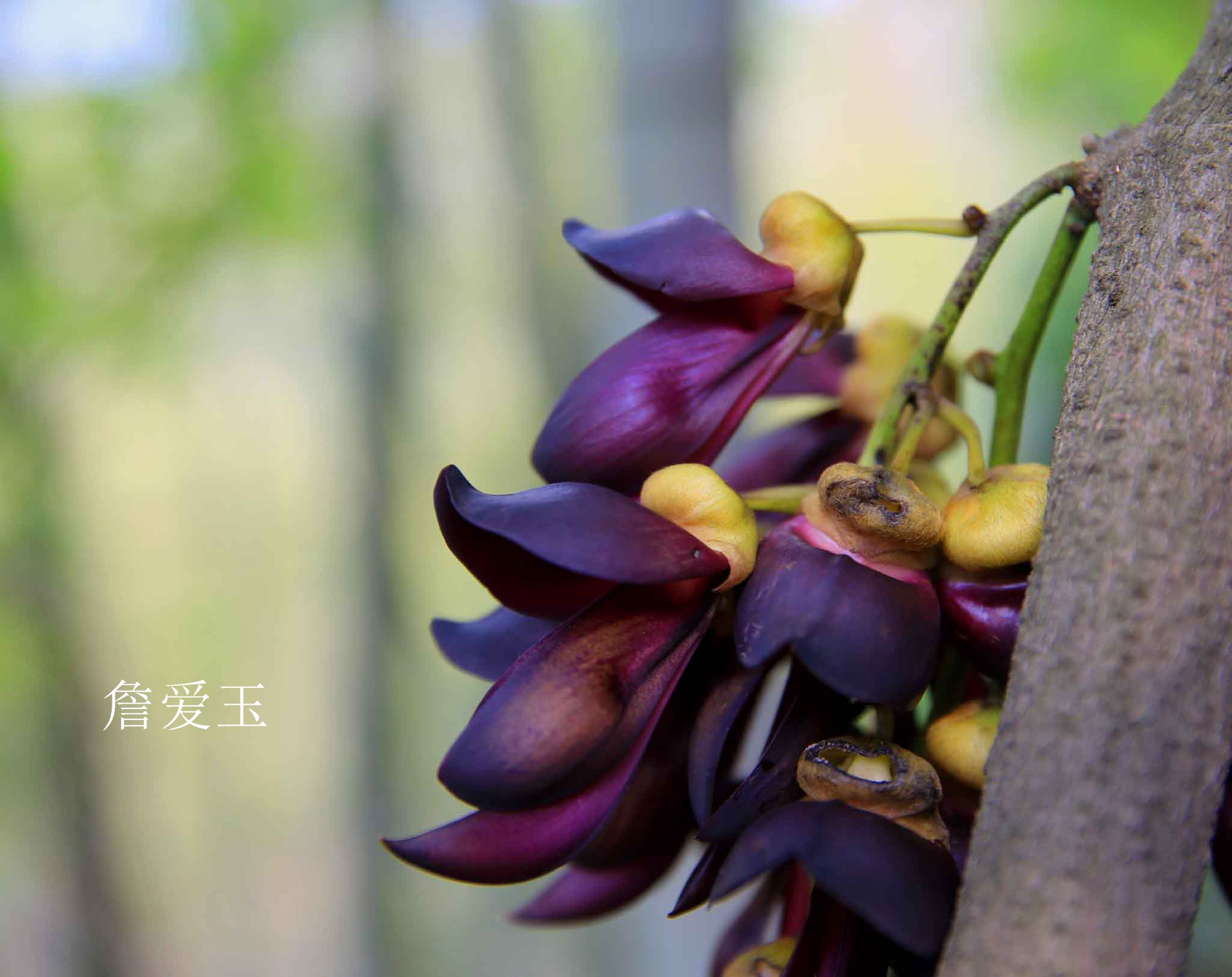广丰周边一日游旅游景点推荐,广丰五一旅游攻略