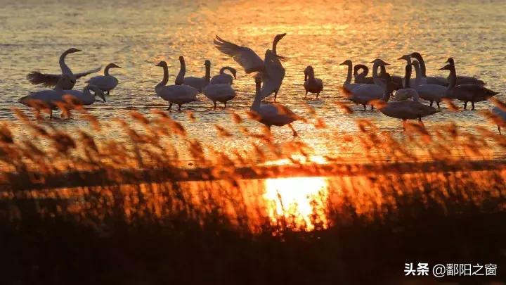 去威海之后建议去哪,去威海玩只想花5000