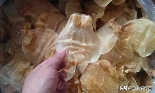 花胶最佳配方和价格,花胶应该怎样挑选