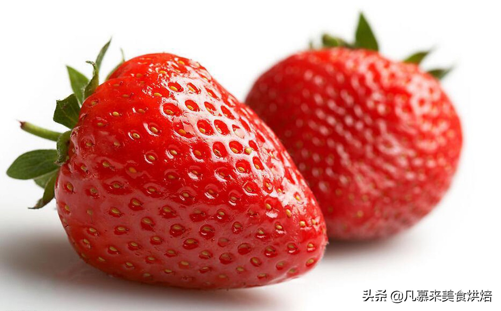 草莓哪个品种最好吃又好种,2018产量最好最大的草莓品种