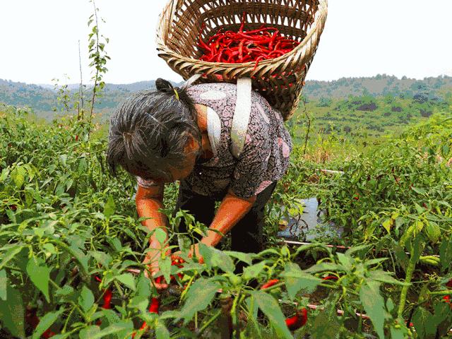 好吃到舔指头！咬上一口，肉汁儿四溢，满足到飘起来
