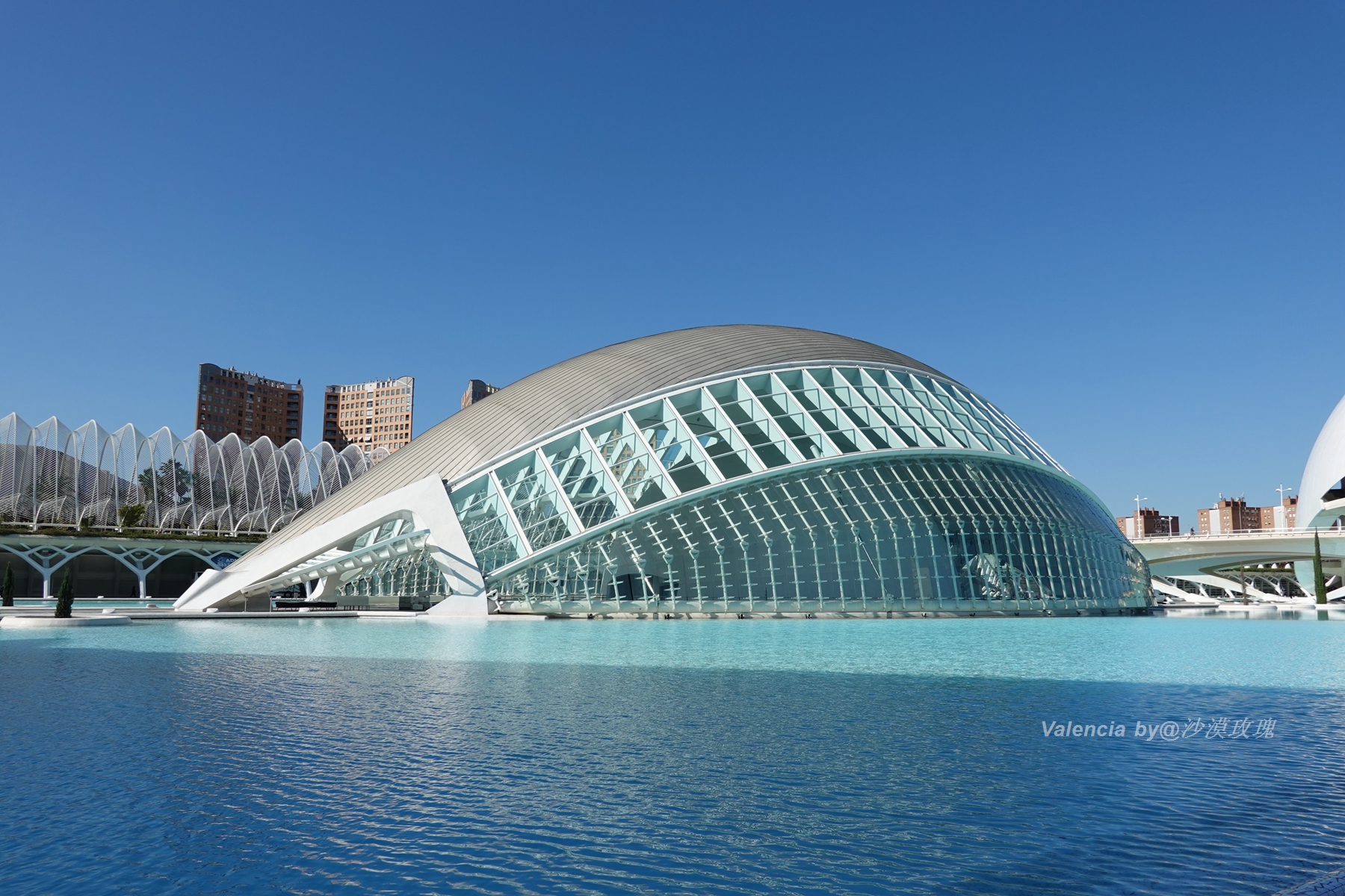 蝙蝠救了国王，成了这座城市的守护神，西班牙被忽视的阳光之城