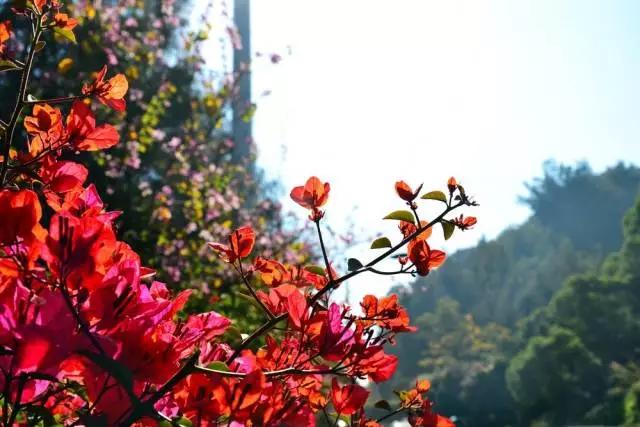 爬山游玩小技巧,厦门登山最佳地点