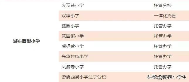 骄傲!游府西街小学又诞生了一个世界冠军