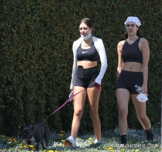 哈姆林秀肌肉,哈姆林姐妹