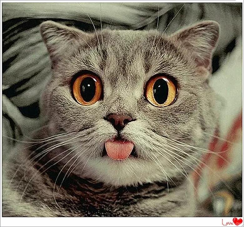 快速看透一个男人的性格