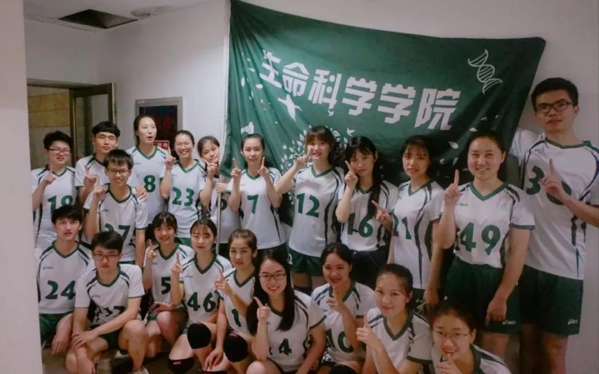 2017全运会湖北夺多少金牌,全运会湖北冠军