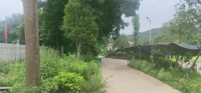 湖南陈先生30万自建农村小平房，有假山有菜园，占地1亩就是爽