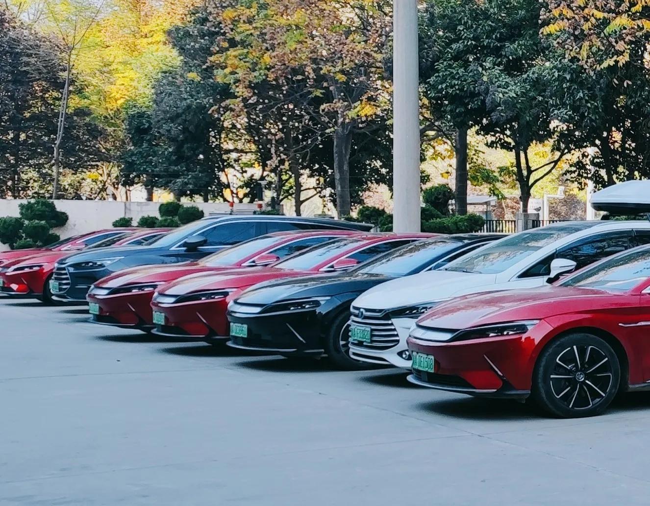 汉车友,汉文化景区游览车