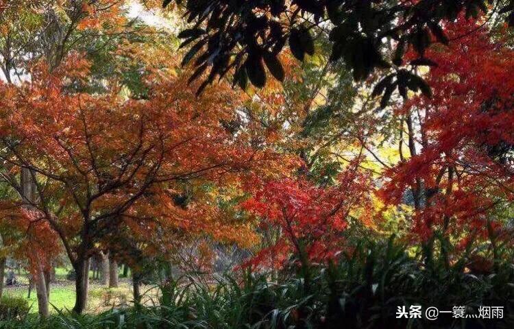 美丽的水乡周庄完整版,美丽的江南水乡充满诗情画意