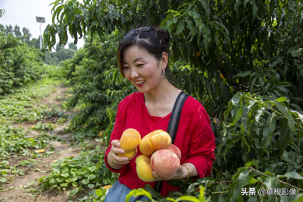创业青年返乡养殖需要什么条件,90后大学生返乡创业成养殖行家