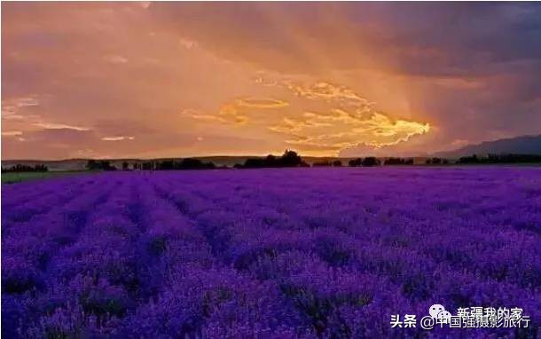 又一封辞职信火了，*疆新**人已传疯