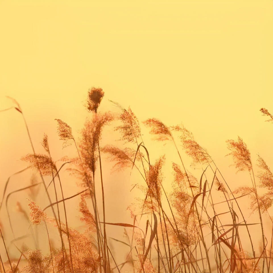 快乐的苏州西山农家乐之旅,苏州西山农家乐自驾游攻略图