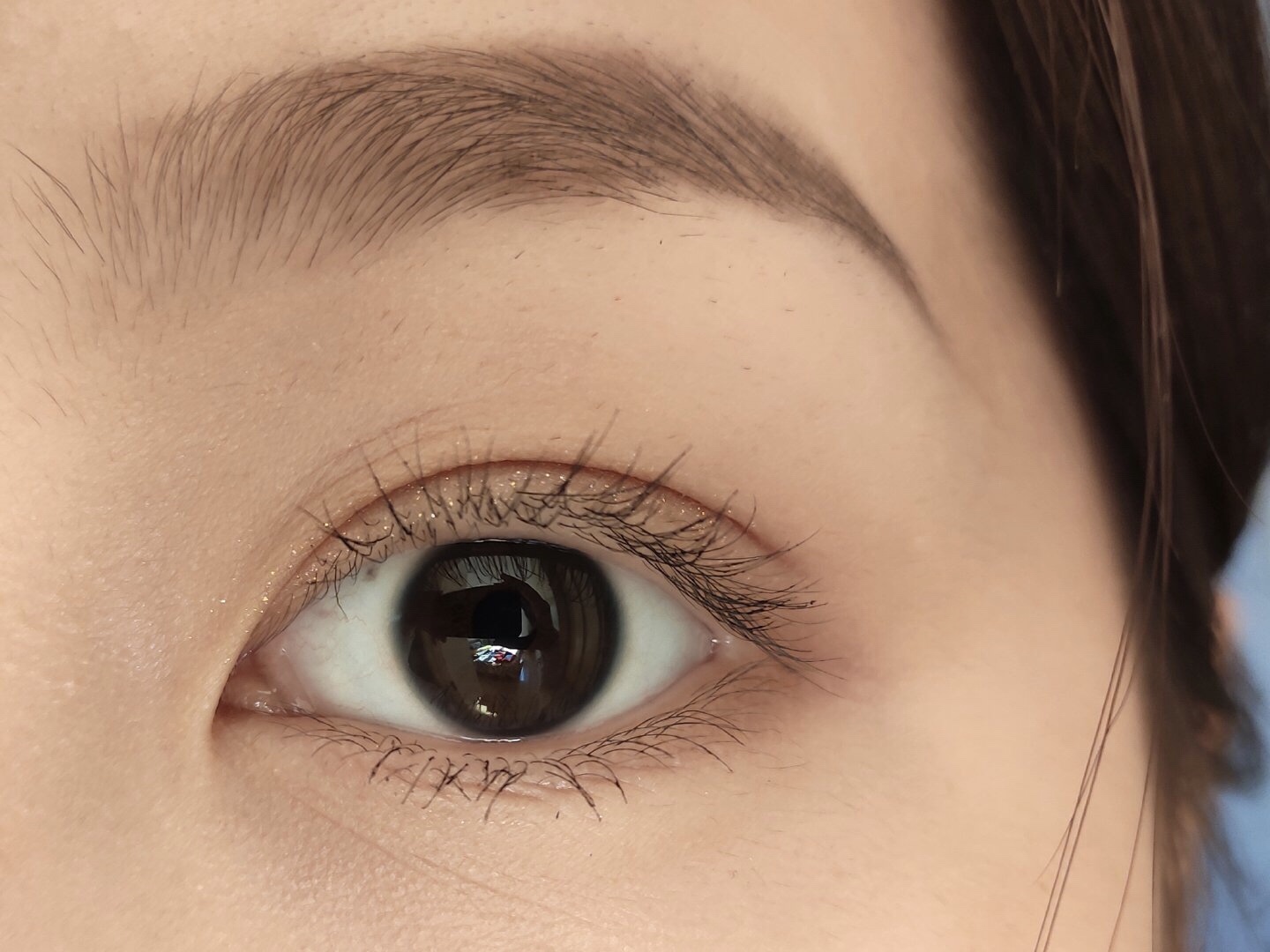 兰蔻天鹅颈睫毛膏extreme,兰蔻天鹅颈睫毛膏是不是不好用了