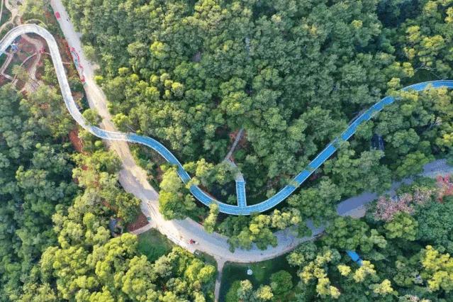 厦门旅游攻略免费,厦门旅游哪里好玩又免费攻略