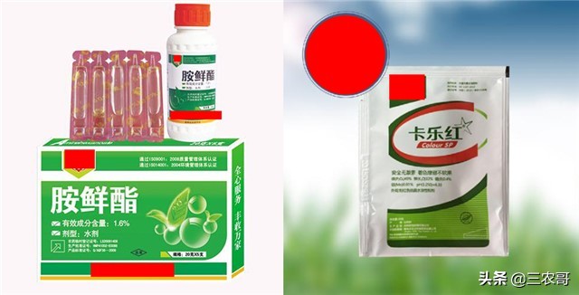 为什么现在的果农都使用甜蜜素,果树喷甜蜜素有效吗