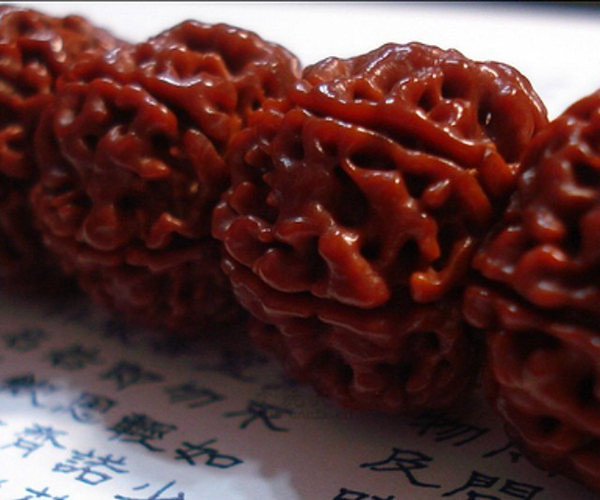 金刚菩提原籽怎么辨别,金刚菩提怎么辨别是不是塑料