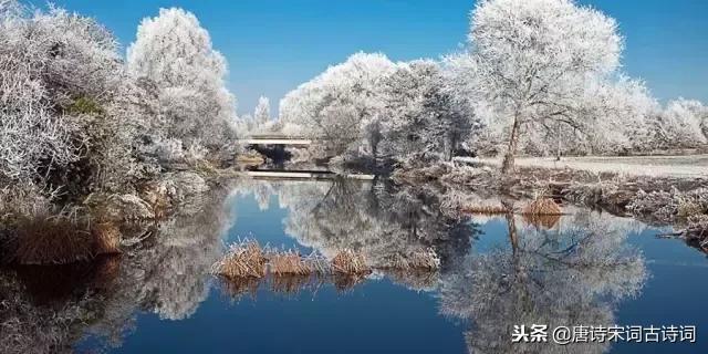 一场大雪洋洋洒洒而来,带雪的唯美唐诗宋词