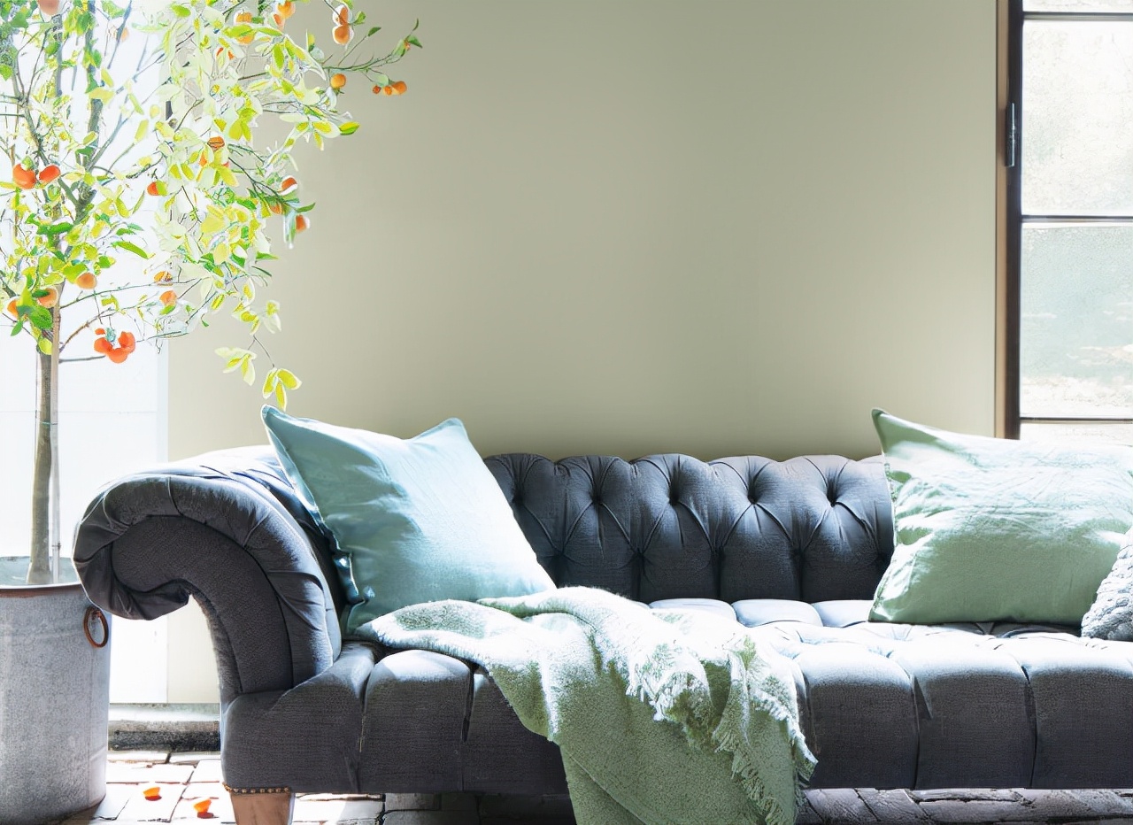 绿色将作为2022年的顶级油漆颜色！到底有什么特殊之处？