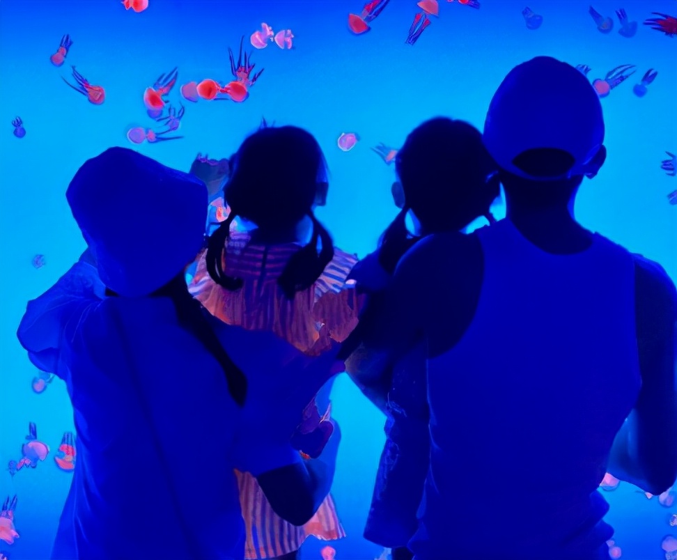 谢娜女儿的小名叫什么,谢娜二胎女儿小名什么意思