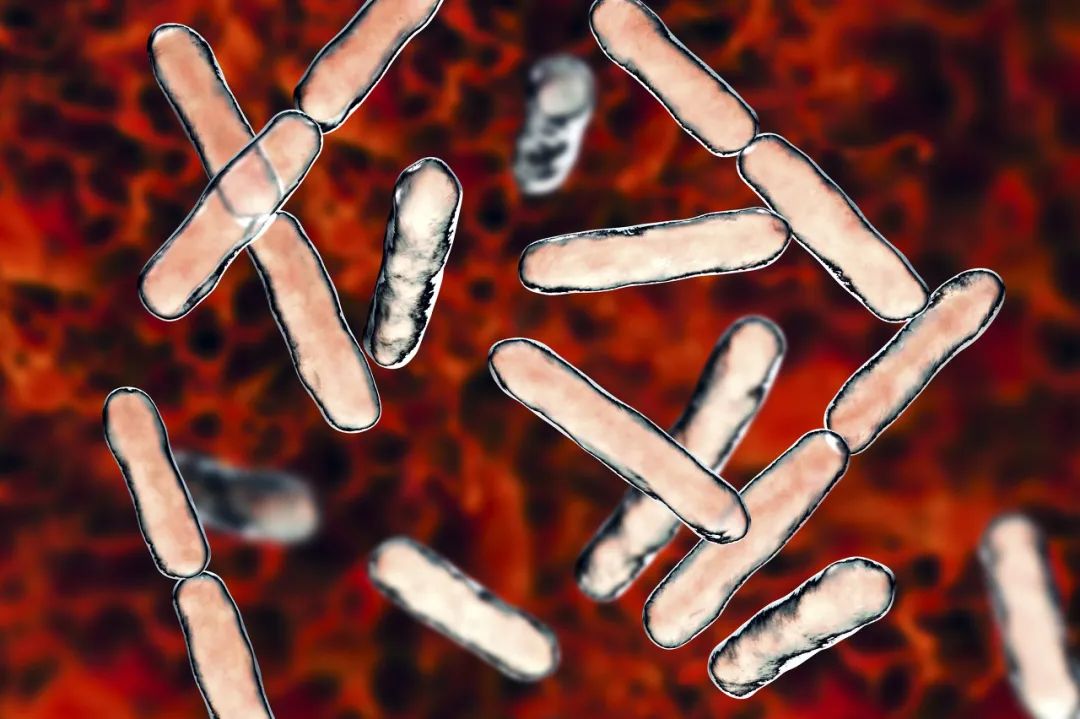 合生元出了什么问题,合生元为什么显示网页有问题