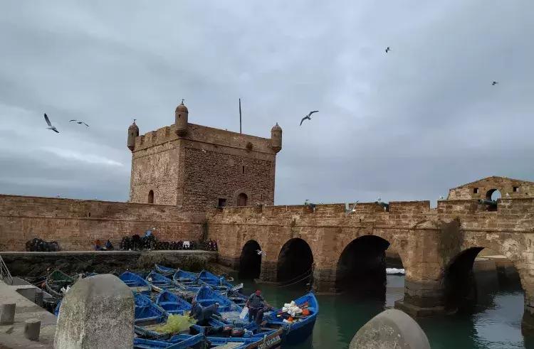 非洲的“后花园”在中国爆红，这个国家简直是“好色者”的天堂