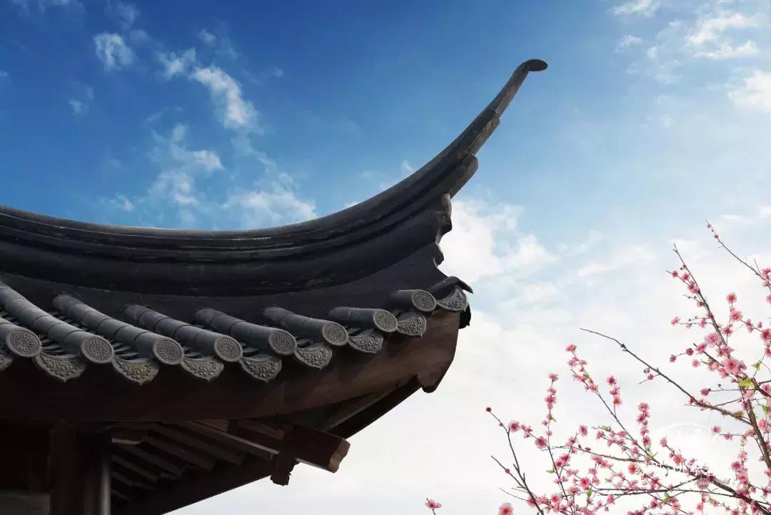 没忍住,还是再次来看了桃李春风