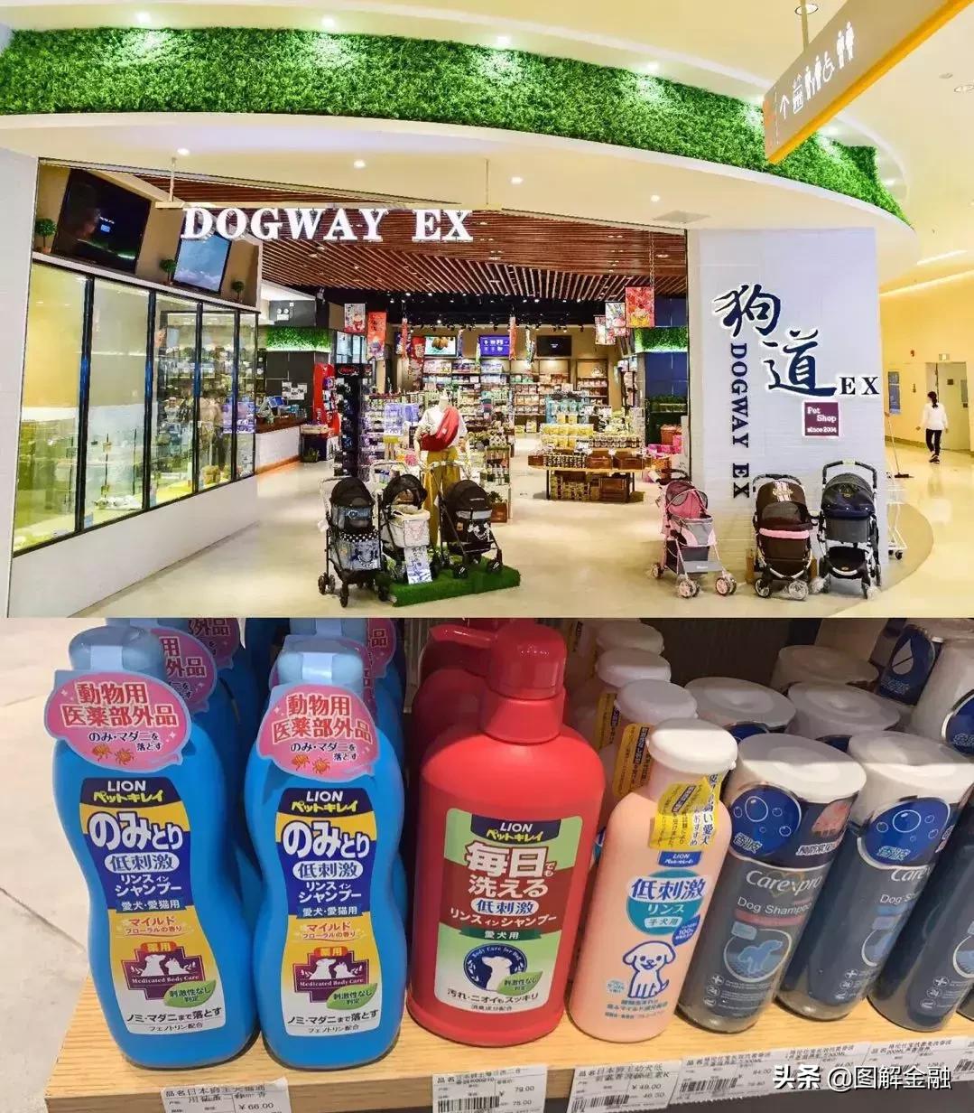 举报宠物店暴利,开宠物店会血本无归吗