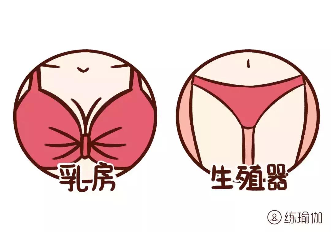 女性雌激素低中药能调理吗,女人雌激素低月经推迟怎么补