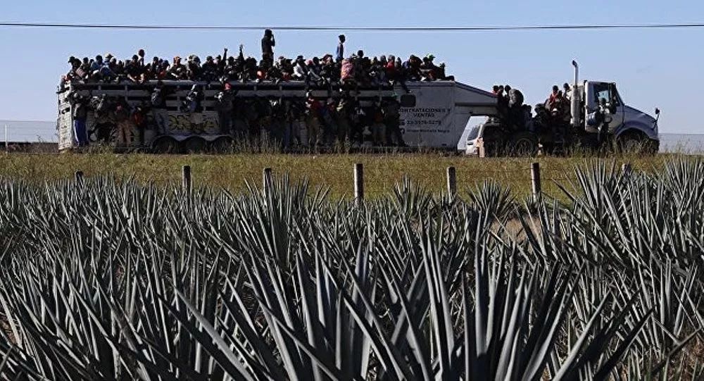 墨西哥人偷渡到美国会被遣返吗,从墨西哥偷渡美国遣返几率