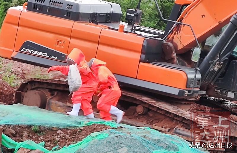 天热马蜂在蜂巢乱飞怎么回事,气温高马蜂如何过冬天