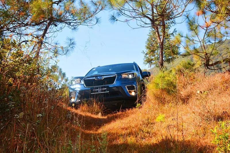 试驾全新一代森林人,森林人换代后感受