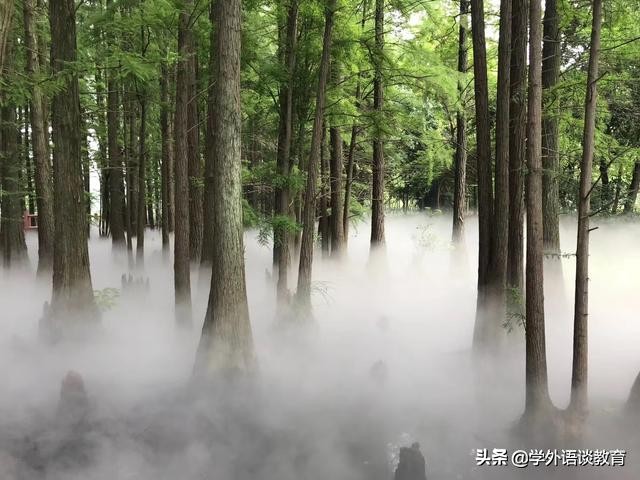 「CET-6关键词作文」SaveWildAnimals