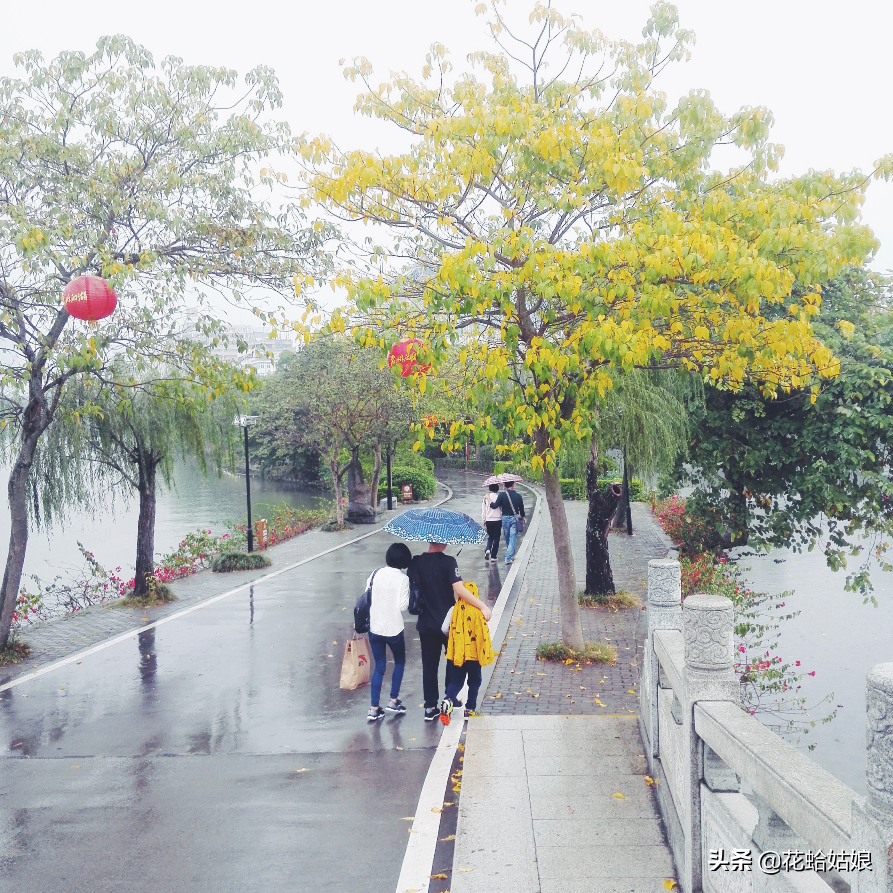 有苎萝西子之美誉的惠州西湖,是国家5*级A**旅游景区,静中带美