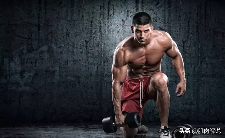 5x5力量训练能增肌吗,健身5x5适合哪些动作