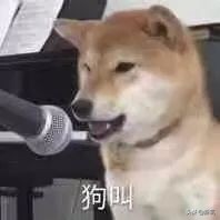 化妆师综艺陈都灵,陈都灵认出化妆师