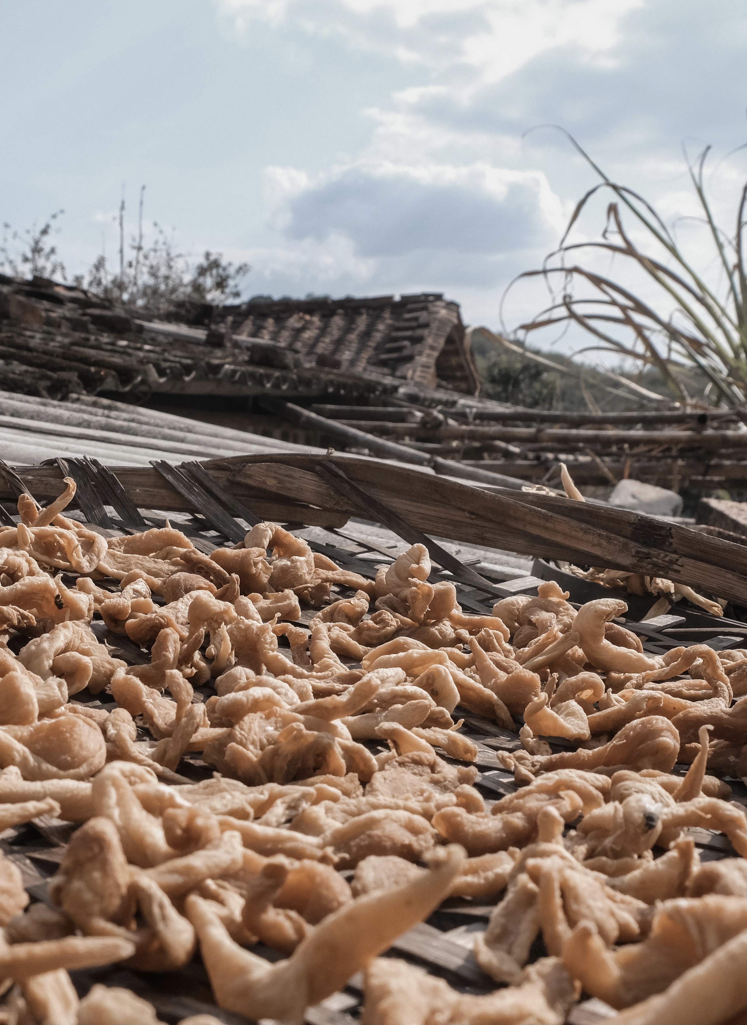 清远城市风景,广东清远哪里风景好