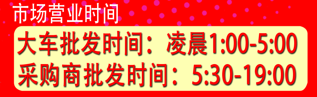 速抢团购,速抢优惠一口价