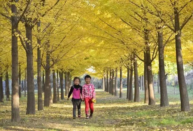 我在长武刚刚好，何必羡慕北上广