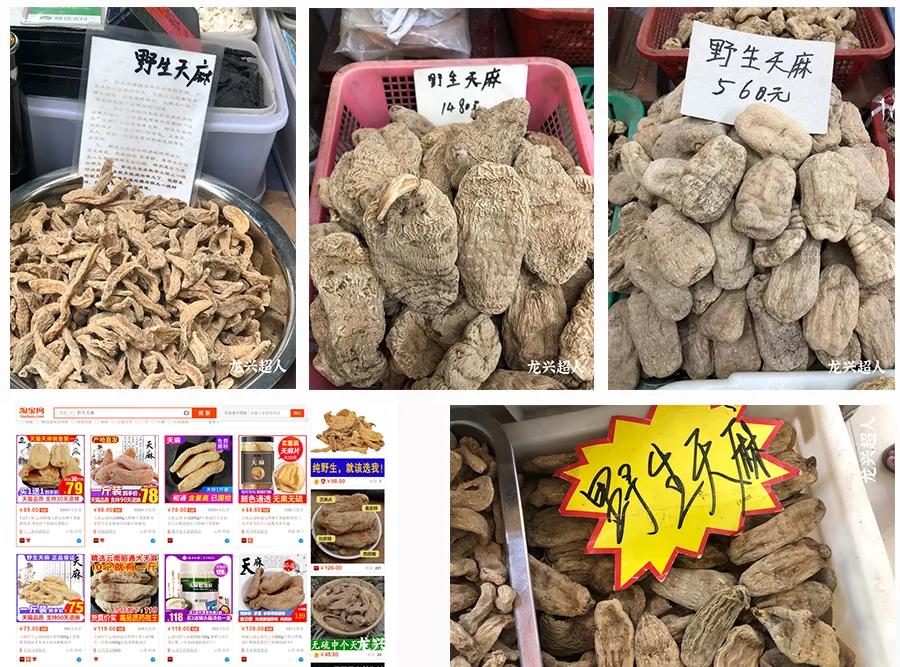 贵州道地药材天麻,道地药材天麻之乡