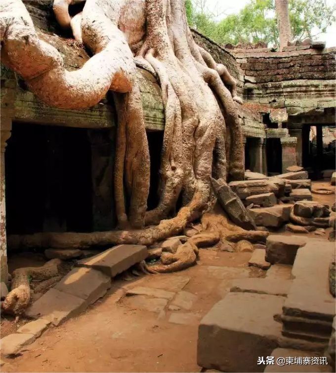 第一次去柬埔寨要报备吗,第一次去柬埔寨工作需要准备什么