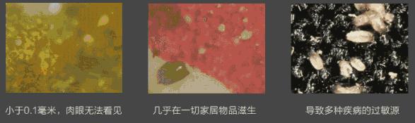 身上的螨虫会粘在衣服上吗,身上螨虫太多身体会烂么