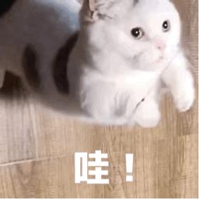 皇家园林北京,北京皇家园林占地