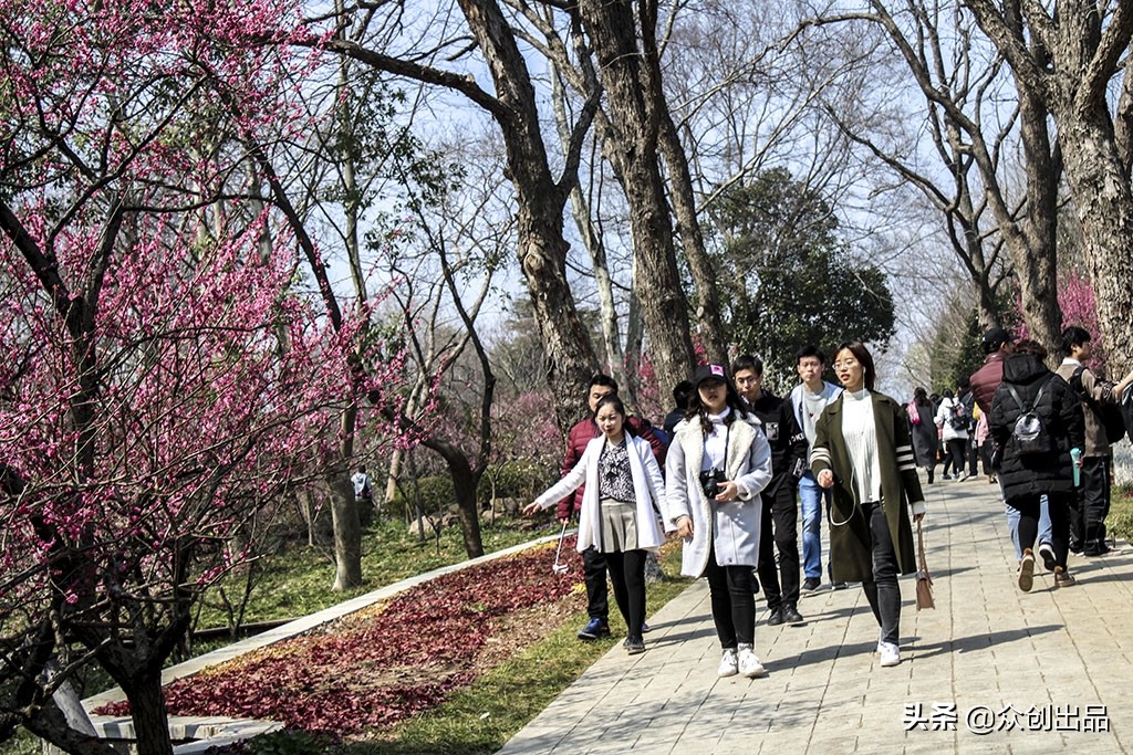 南京第一梅山,南京梅山和梅花山