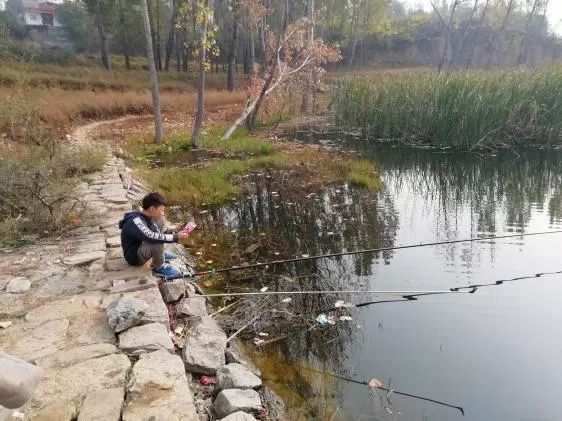 空闲出钓沐暖阳，本汀宗师开光狂拉鲫