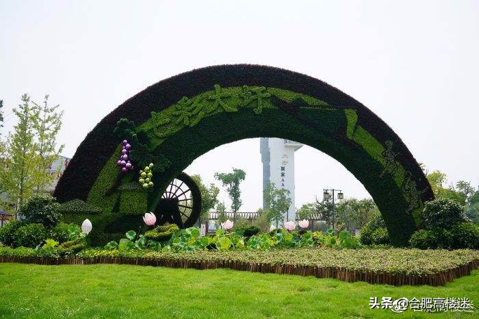 合肥五一旅游景点攻略大全,五一假期合肥旅游人气爆棚