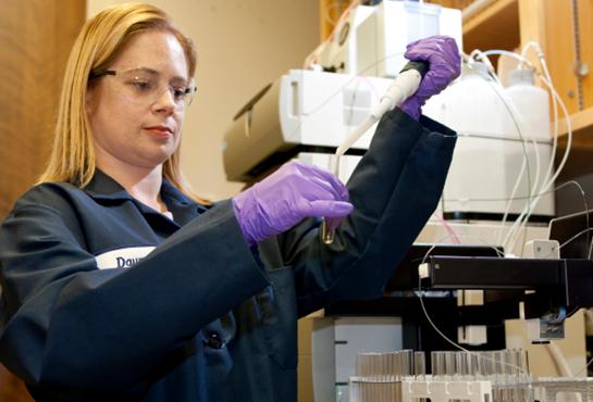 元素帝国女性名字,元素帝国的人物