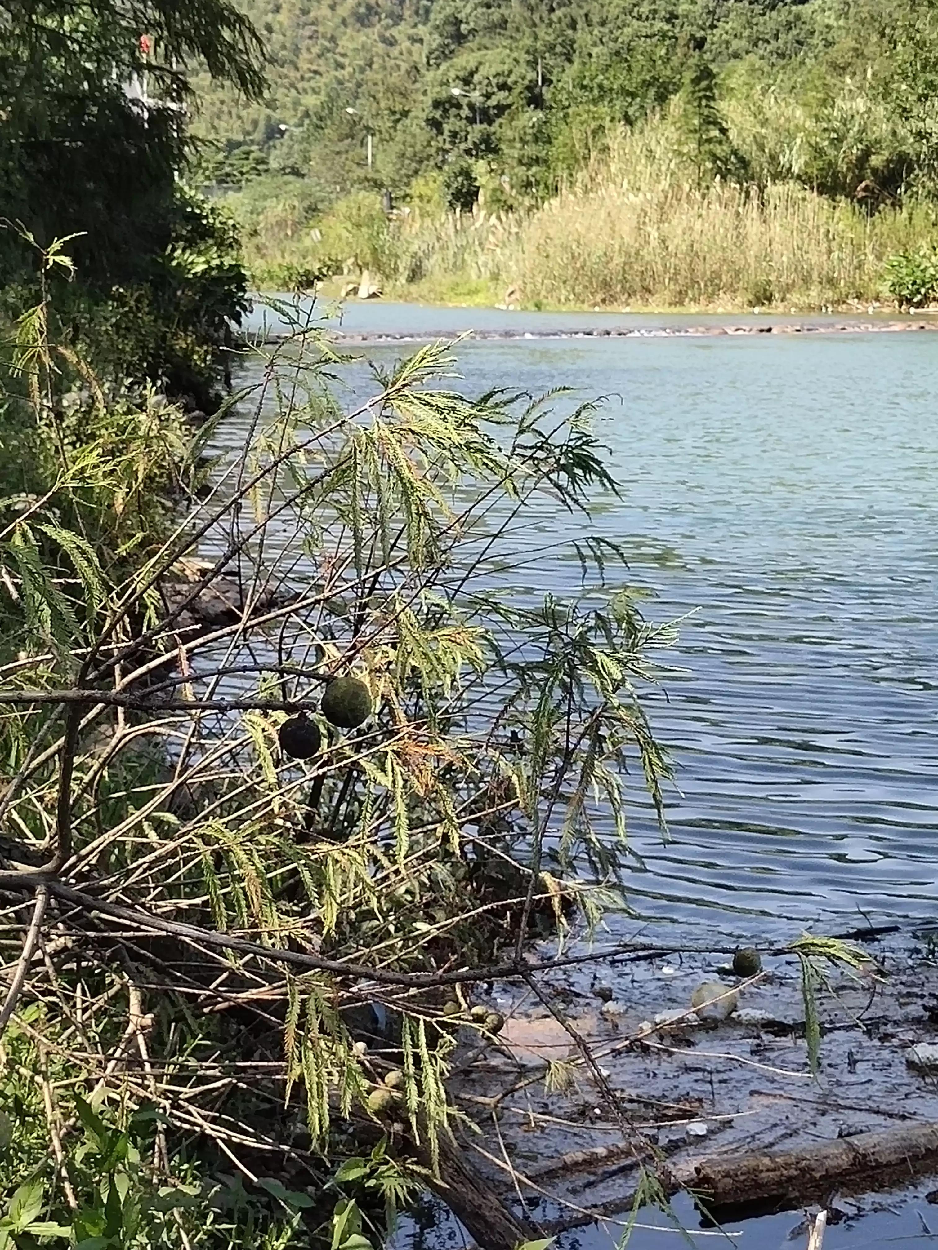 秋季宁波钓鱼,秋钓深潭